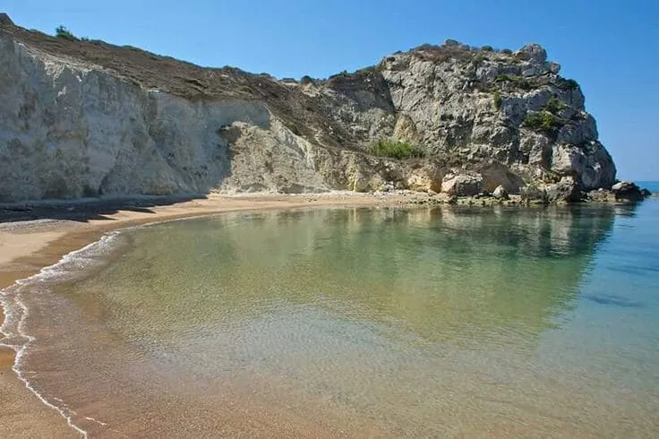 900 Dal Blu - Photo 9