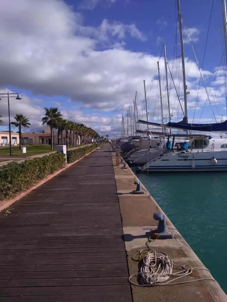 900 Dal Blu - Photo 11