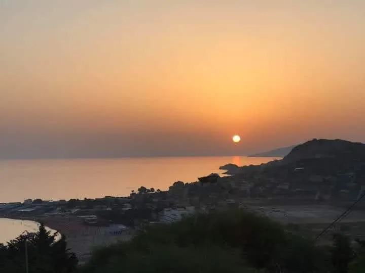 900 Dal Blu - Photo 8