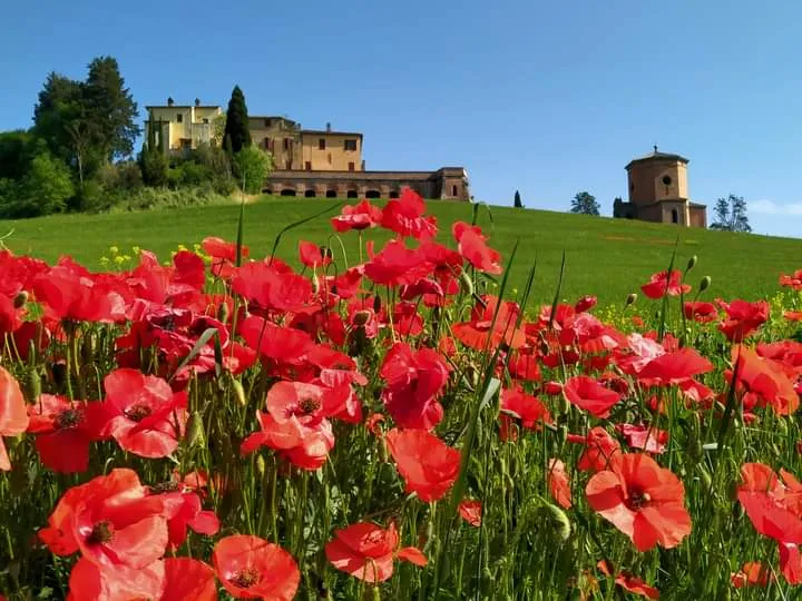 Villa Righino - Photo 9