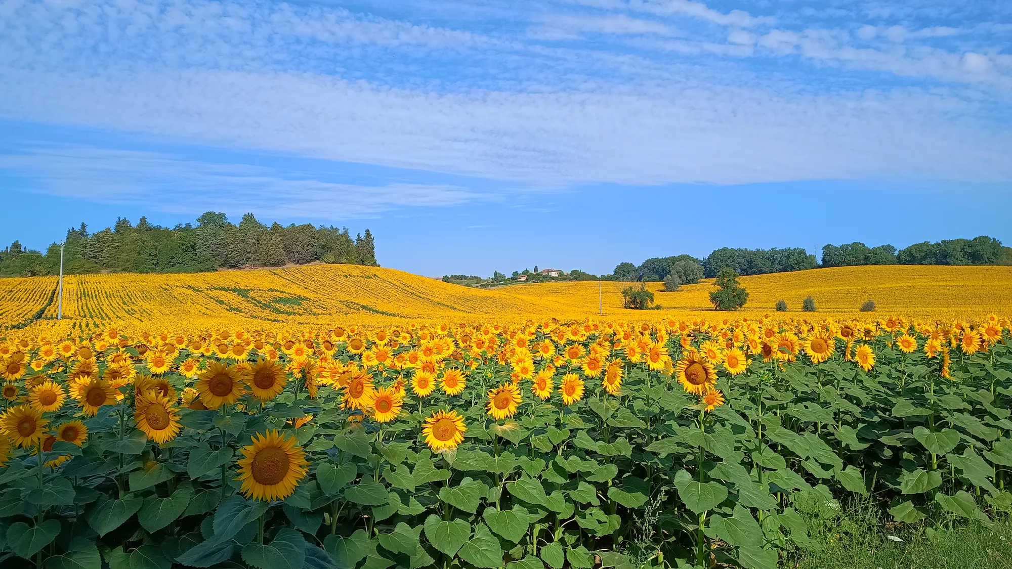 Villa Righino - Photo 8