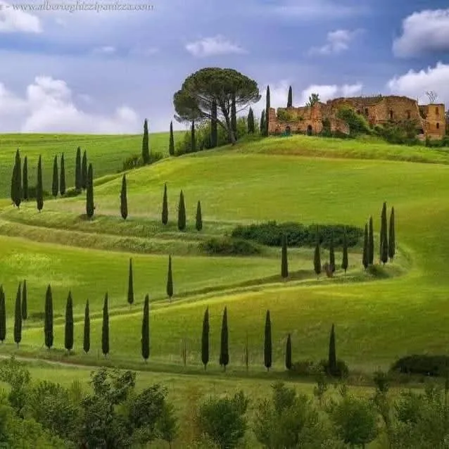 Villa Righino - Photo 7