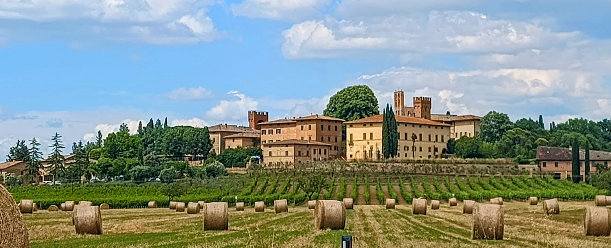 Villa Righino 3