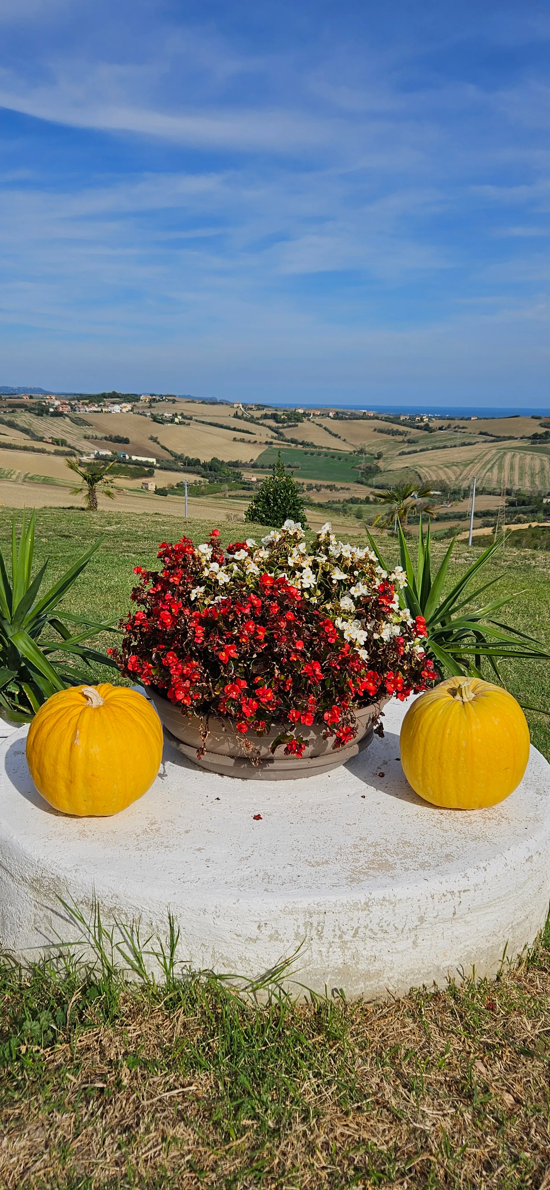 Il Trebbiatore - Foto 18