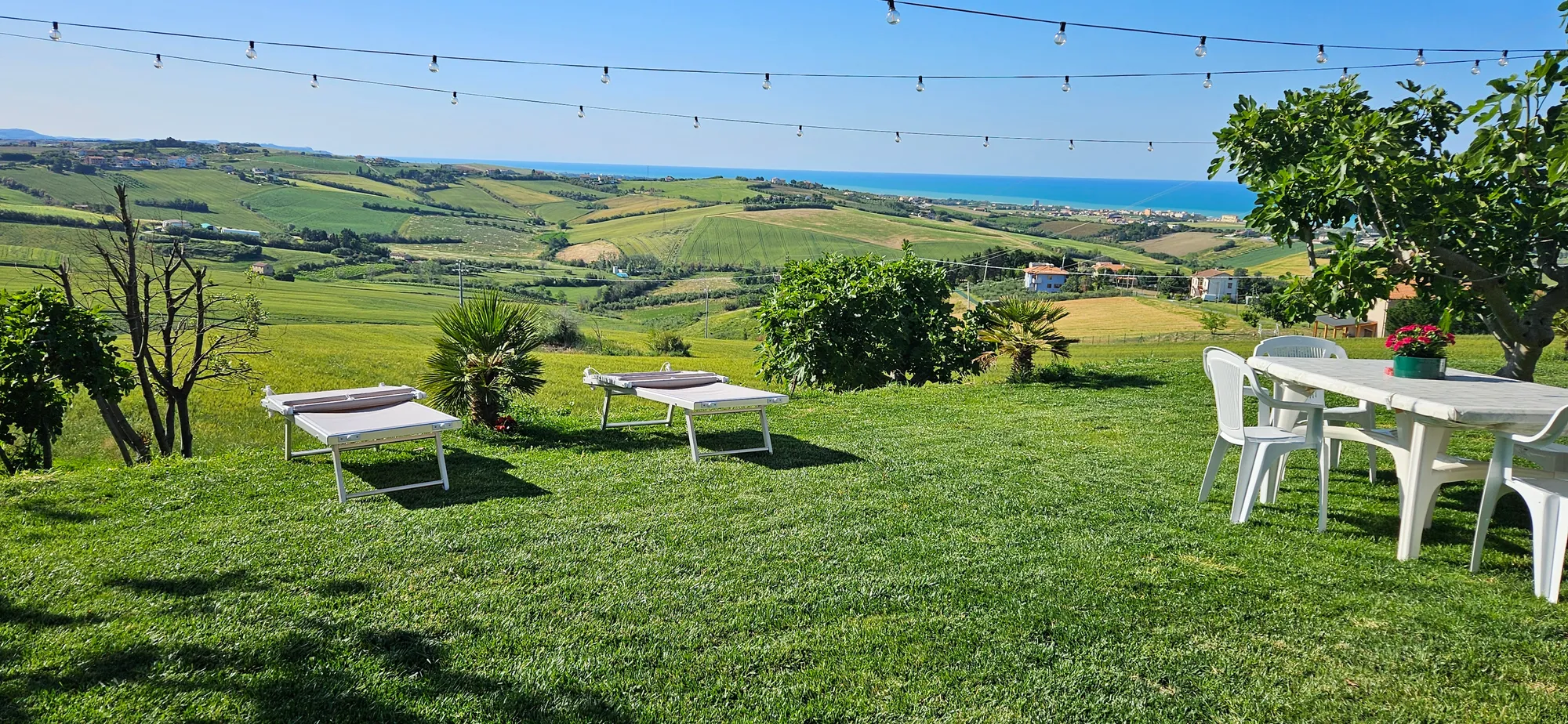 Il Trebbiatore - Photo 2