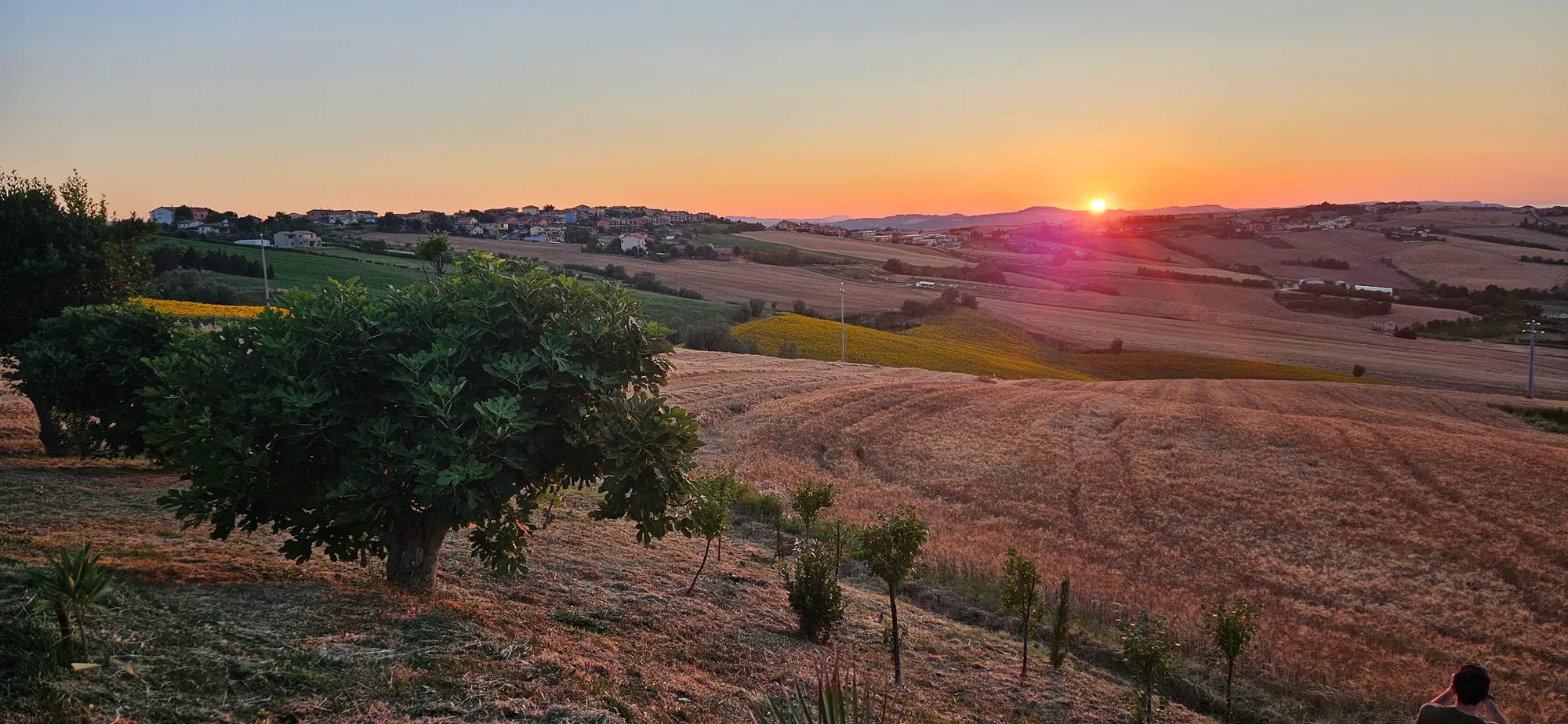 Il Trebbiatore - Photo 6
