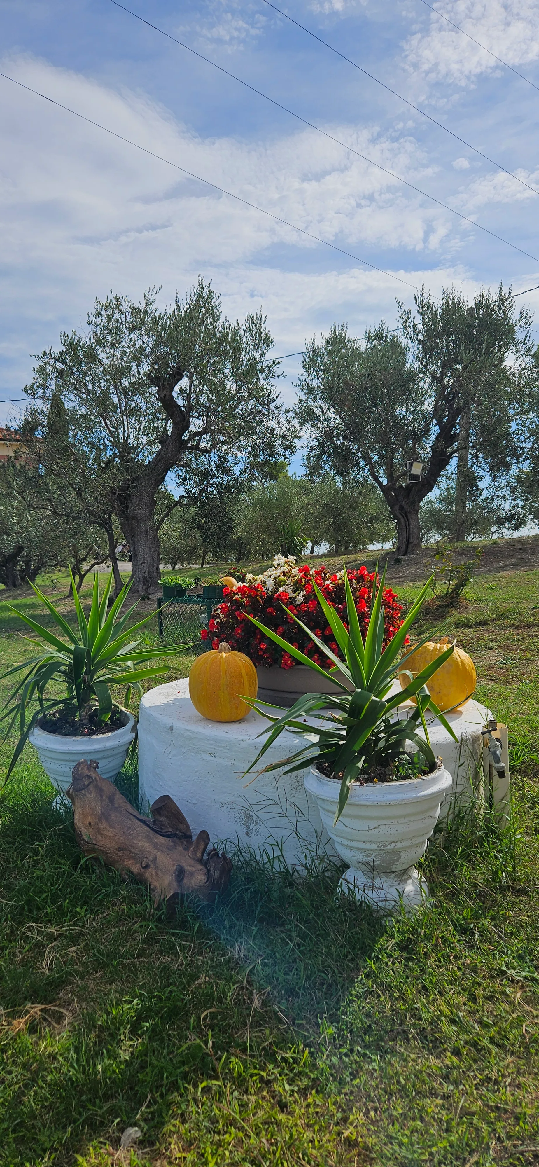 Il Trebbiatore - Foto 19
