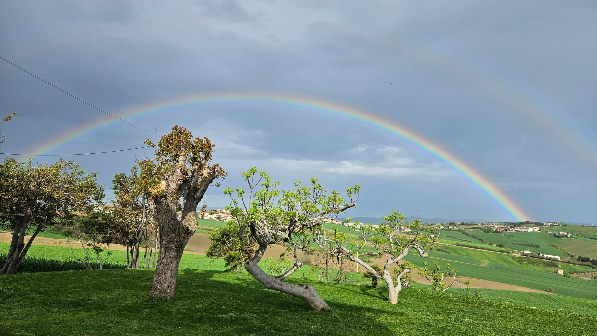 Il Trebbiatore - Photo 8