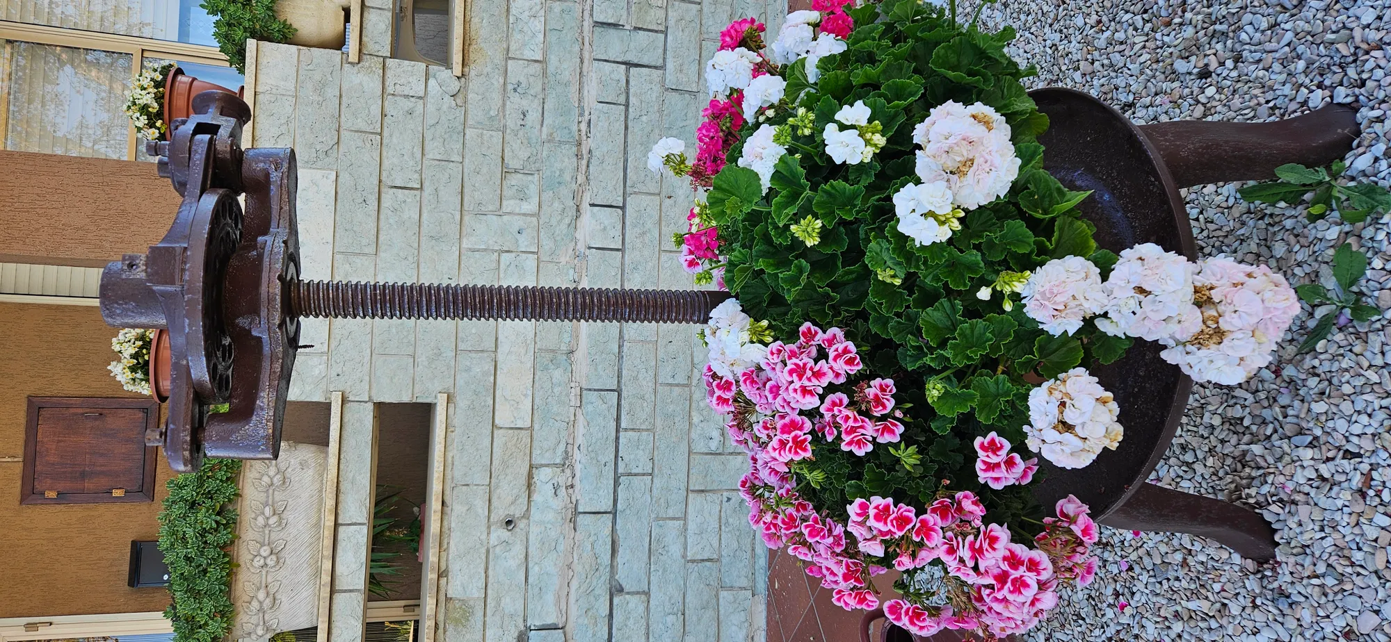 Il Trebbiatore - Photo 16