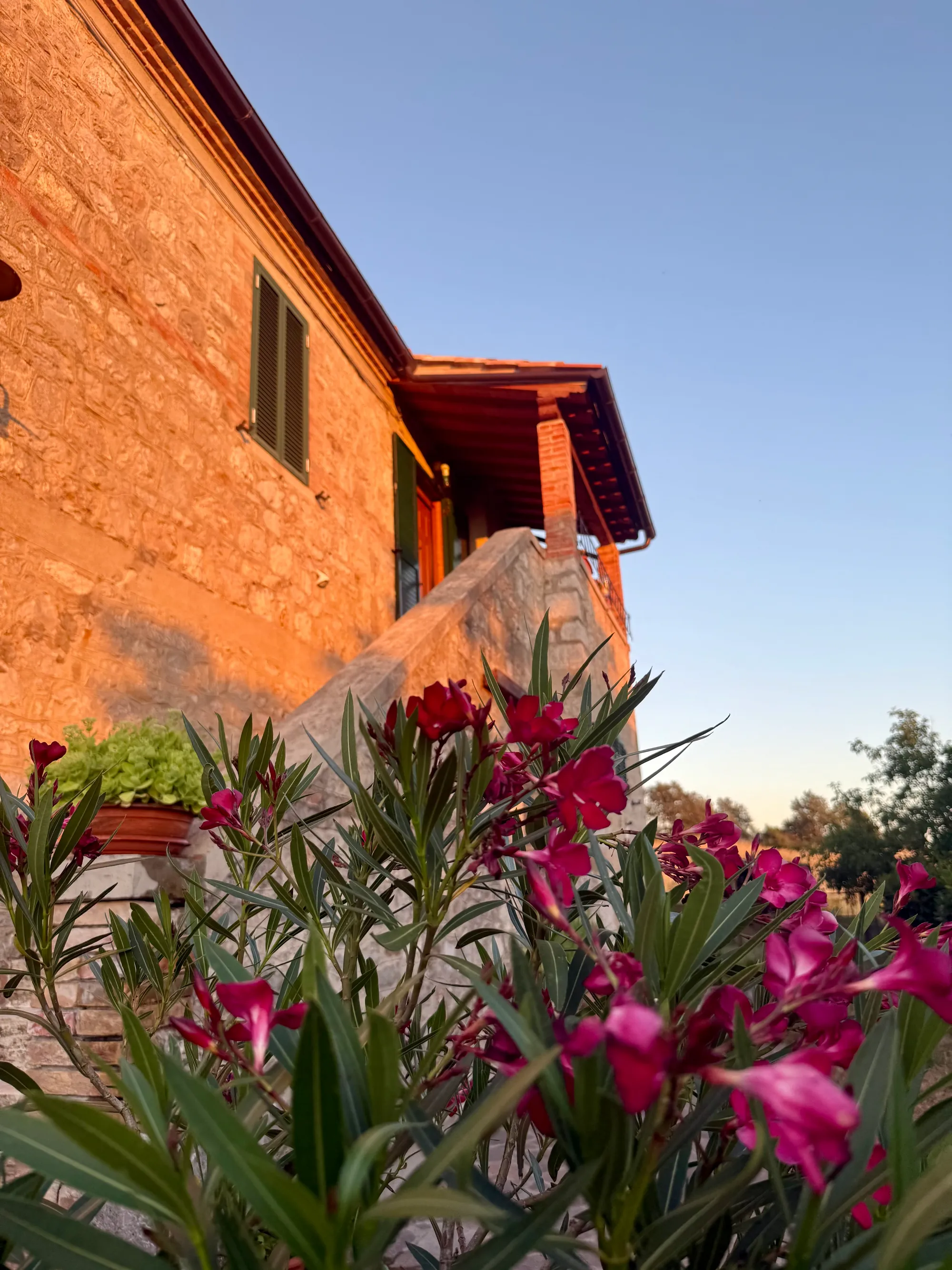 Podere Casagrande  - Foto 8